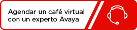 Café con un experto
